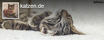 Katzen.de auf Facebook