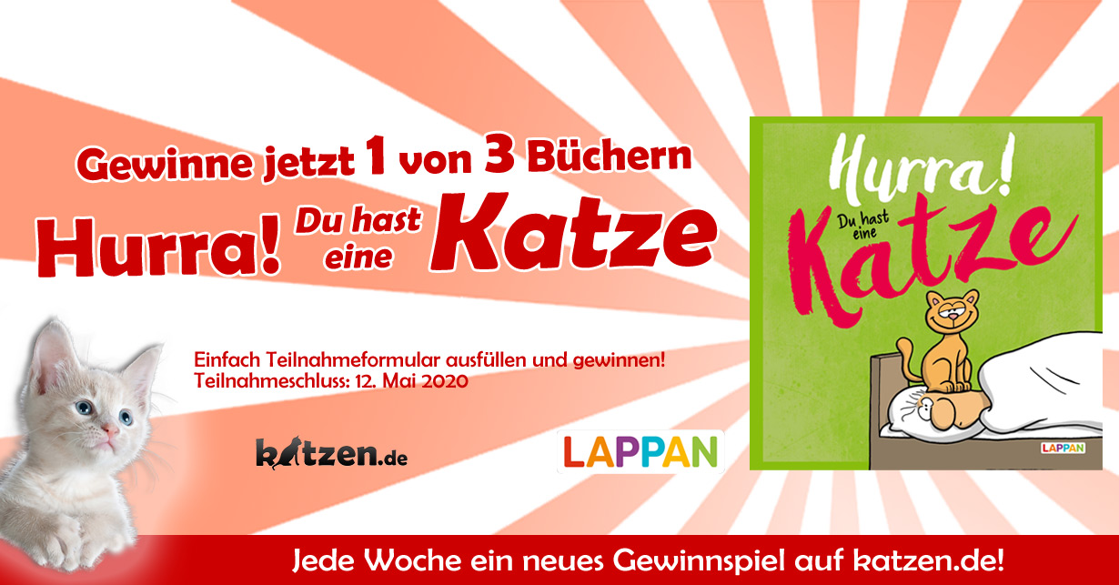 Gewinnspiel Hurra Du  hast  eine Katze Cartoons und 