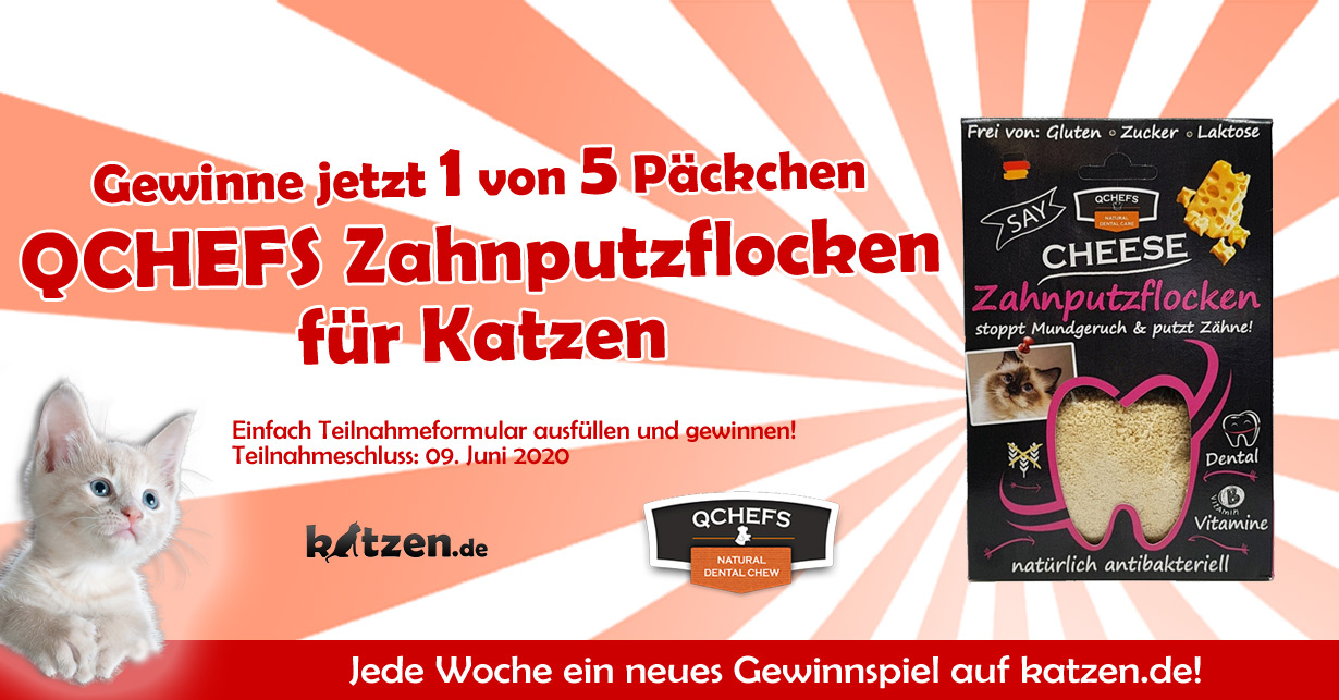 Gewinnspiel 5 mal „QCHEFS Zahnputzflocken für Katzen“ Katzen.de